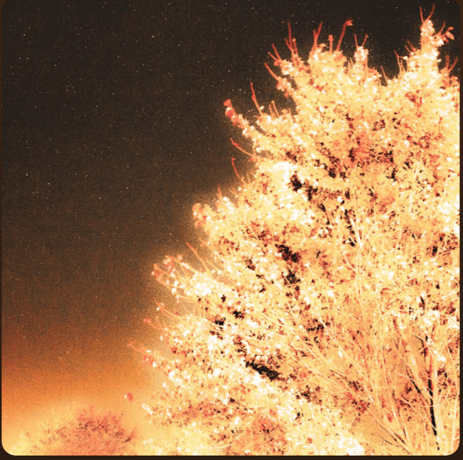Yearning for a Little Bit of Everything: This is “Wishing on a Star”